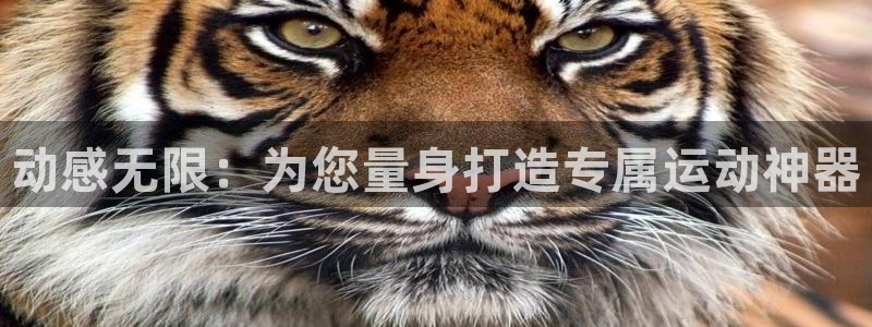 熊猫体育官网下载是干嘛的公司：动感无限：为您量身打造专属运动