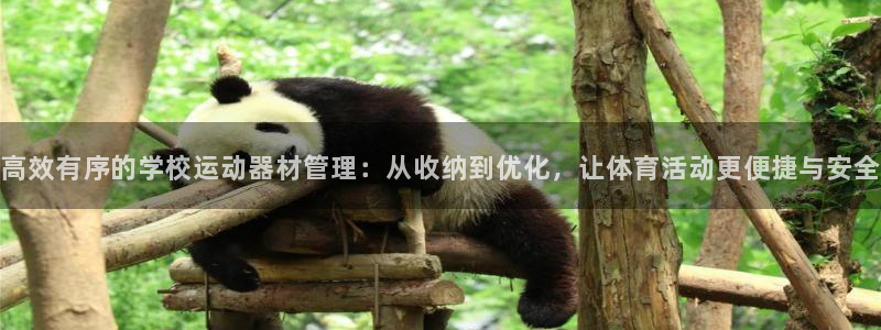 熊猫体育官网下载平台是正规平台吗知乎：高效有序的学校运动器材