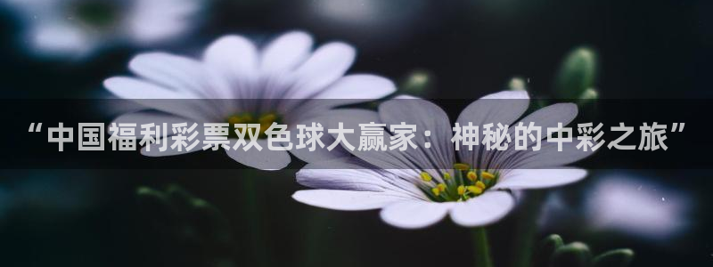 绿茵足球视频：“中国福利彩票双色球大赢家：神秘的中彩之旅”