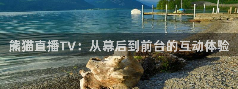 绿茵直播体育在线观看免费下载：熊猫直播TV：从幕后到前台的互动体验