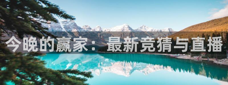 绿茵直播体育免费观看：今晚的赢家：最新竞猜与直播