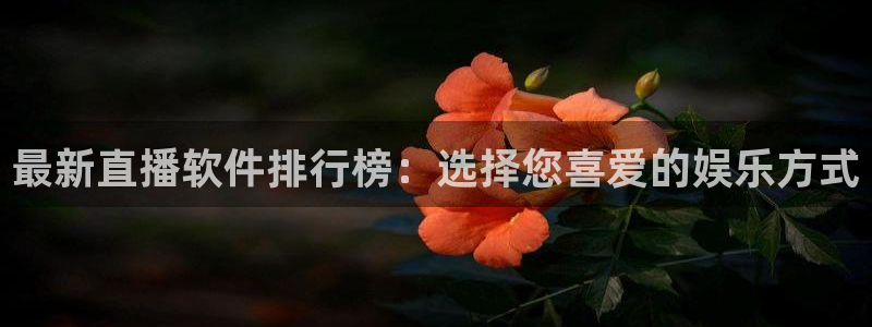 绿茵直播体育app下载：最新直播软件排行榜：选择您喜爱的娱乐方式