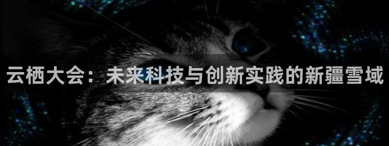绿茵直播体育在线观看免费：云栖大会：未来科技与创新实践的新疆雪域