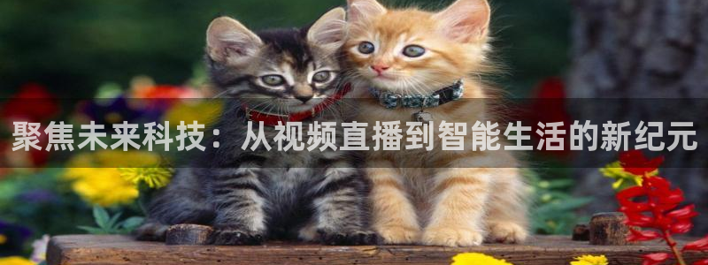 绿茵足球直播晚晚：聚焦未来科技：从视频直播到智能生活的新纪元