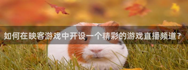绿茵体育直播间：如何在映客游戏中开设一个精彩的游戏直播频道？