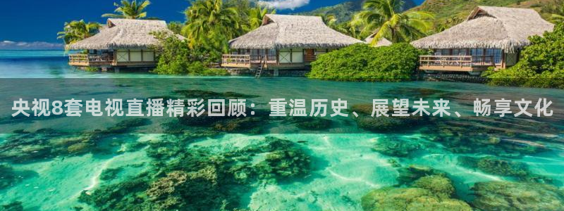 绿茵足球直播间：央视8套电视直播精彩回顾：重温历史、展望未来、畅享文化