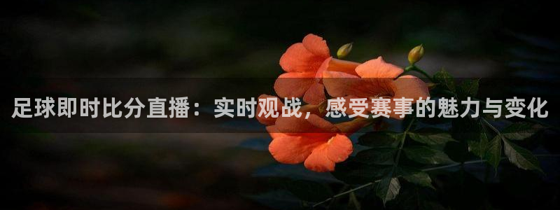 绿茵直播体育免费观看高清：足球即时比分直播：实时观战，感受赛事的魅力与变化