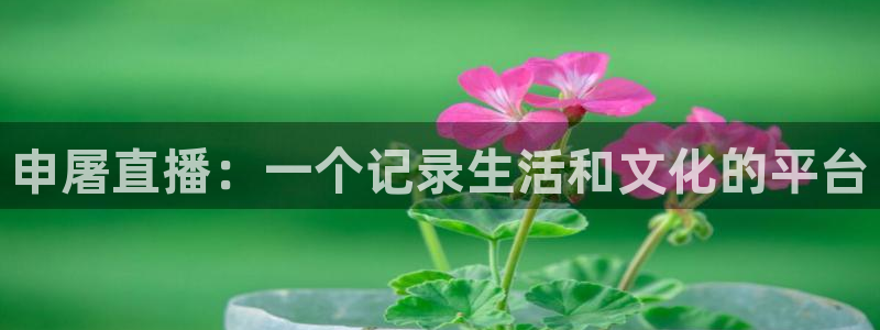 足球绿茵直播免费观看：申屠直播：一个记录生活和文化的平台