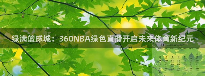 绿茵体育免费直播入口：绿满篮球城：360NBA绿色直播开启未来体育新纪元