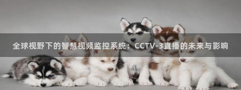 绿茵直播体育在线观看免费高清：全球视野下的智慧视频监控系统：CCTV-3直播的未来与影响