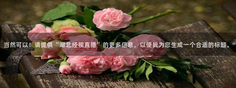 东京绿茵足球：当然可以！请提供“湖北经视直播”的更多信息，以便我为您生成一个合适的标题。