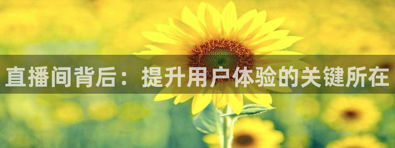 绿茵直播体育免费观看高清：直播间背后：提升用户体验的关键所在