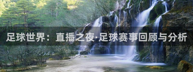 绿茵体育频道在线直播：足球世界：直播之夜·足球赛事回顾与分析